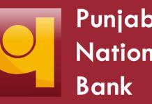 Punjab National Bank WhatsApp banking: Check how to activate, services offered to customers and non-customers