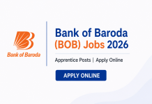 Bank of Baroda (BOB) Jobs 2026 – Apprentice Posts | Apply Online